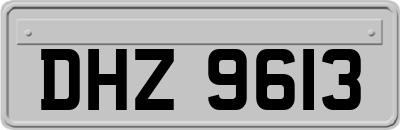 DHZ9613