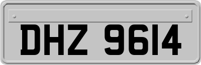 DHZ9614