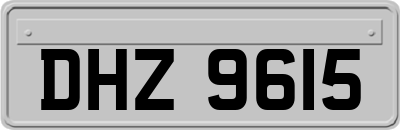 DHZ9615