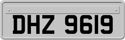 DHZ9619