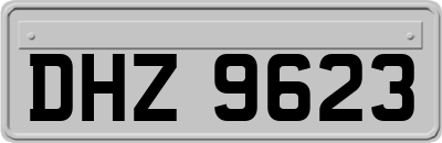 DHZ9623