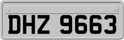 DHZ9663