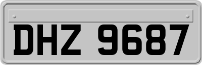 DHZ9687