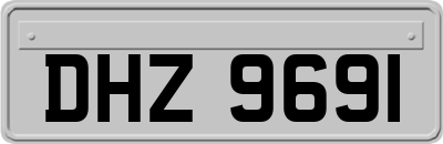 DHZ9691