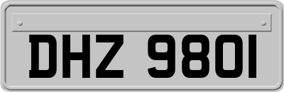 DHZ9801