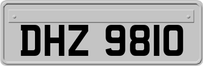 DHZ9810