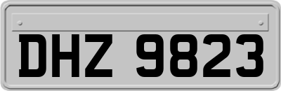 DHZ9823