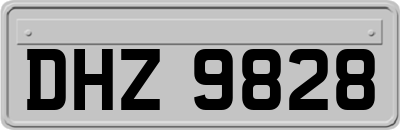 DHZ9828