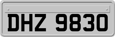 DHZ9830