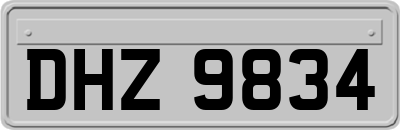 DHZ9834