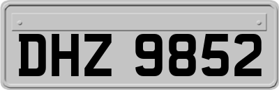DHZ9852