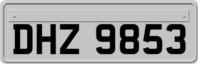 DHZ9853