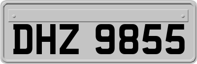 DHZ9855