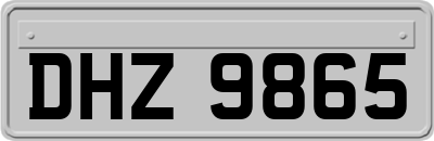 DHZ9865