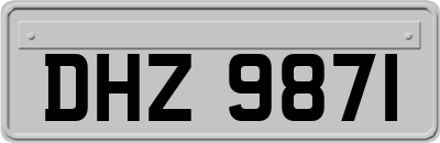 DHZ9871