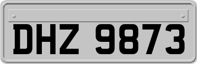 DHZ9873