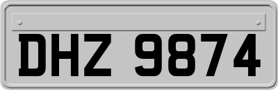 DHZ9874