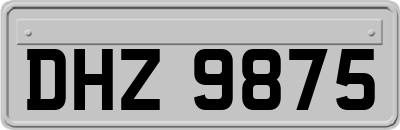 DHZ9875