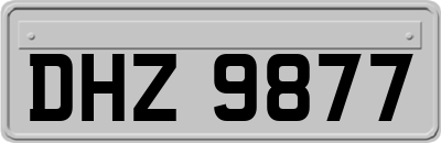 DHZ9877