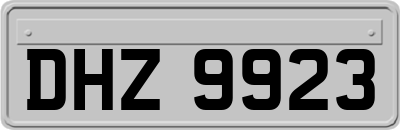 DHZ9923