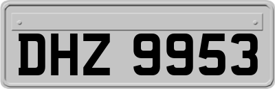 DHZ9953