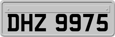 DHZ9975