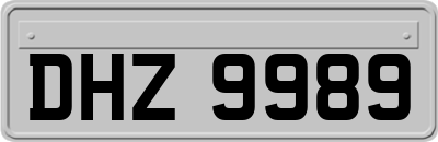 DHZ9989