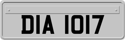 DIA1017