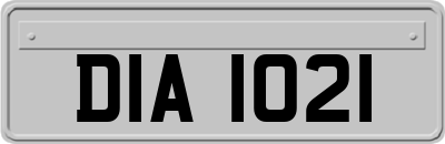 DIA1021