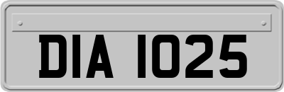 DIA1025