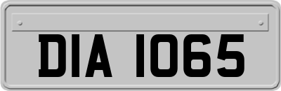 DIA1065