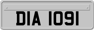 DIA1091