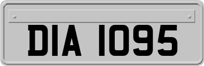 DIA1095