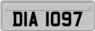 DIA1097