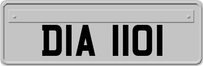 DIA1101