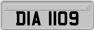 DIA1109