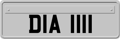 DIA1111