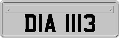 DIA1113