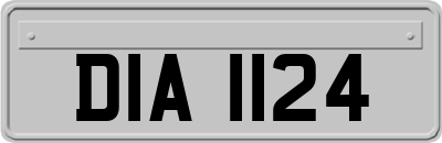 DIA1124