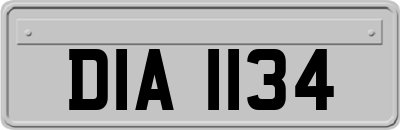 DIA1134