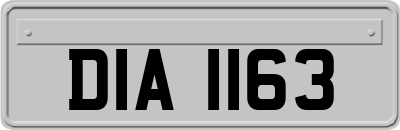 DIA1163