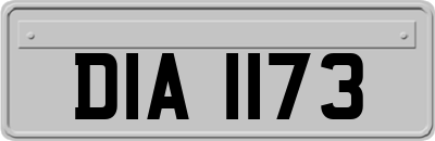 DIA1173