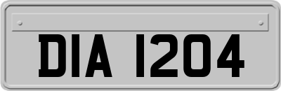 DIA1204