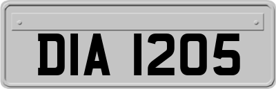 DIA1205