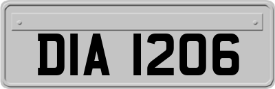 DIA1206