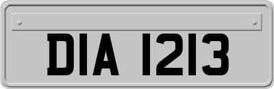 DIA1213