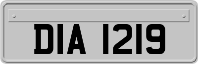 DIA1219