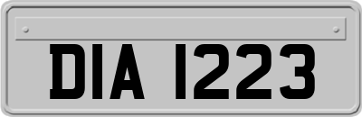DIA1223
