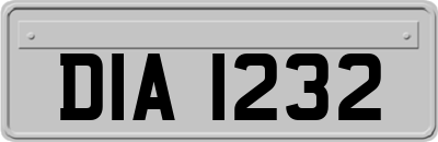 DIA1232