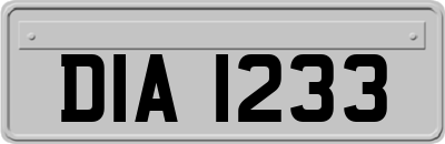 DIA1233